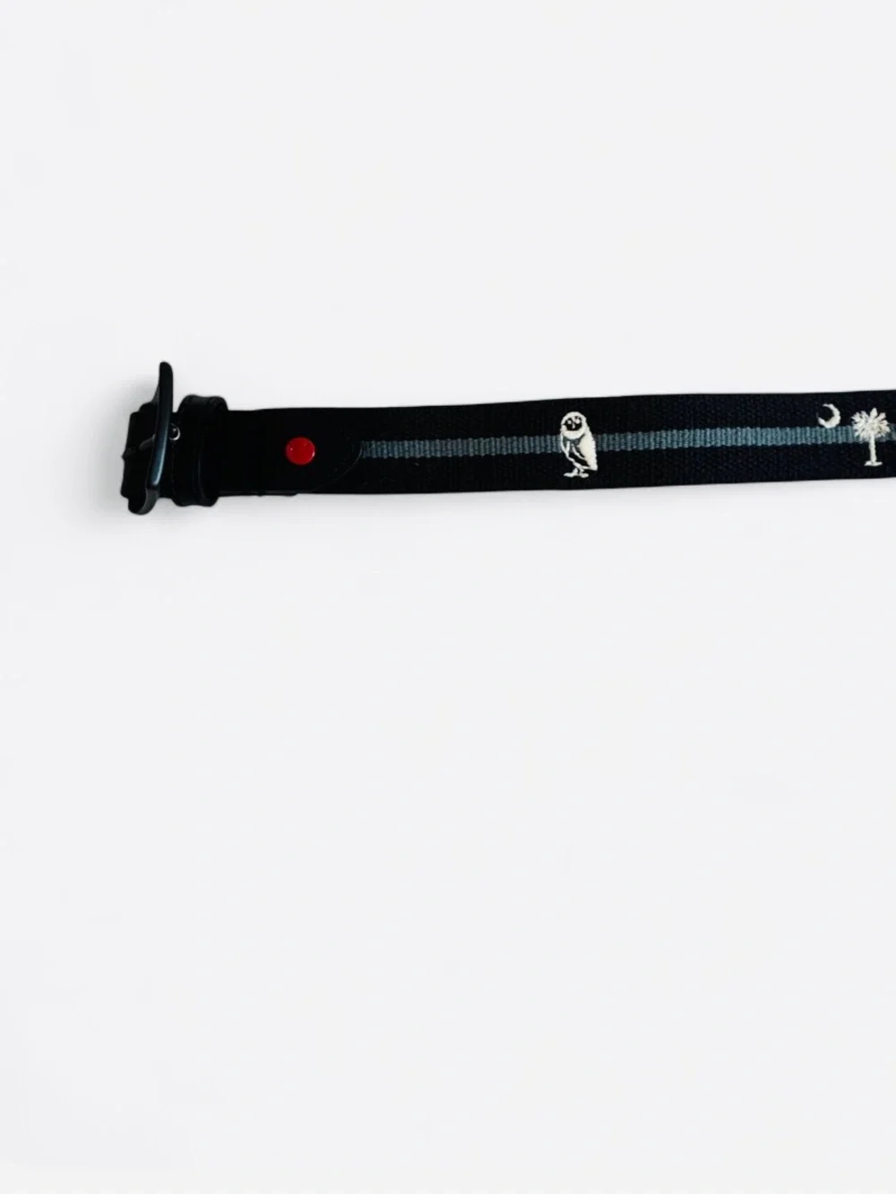 Men's Black Belt with Blue Stripe - Casual Webbing Strap